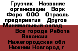 Грузчик › Название организации ­ Ворк Форс, ООО › Отрасль предприятия ­ Другое › Минимальный оклад ­ 24 000 - Все города Работа » Вакансии   . Нижегородская обл.,Нижний Новгород г.